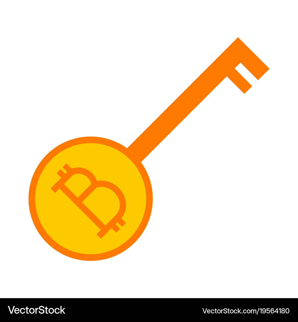 Simple bitcoin key unlocking graphic vector image