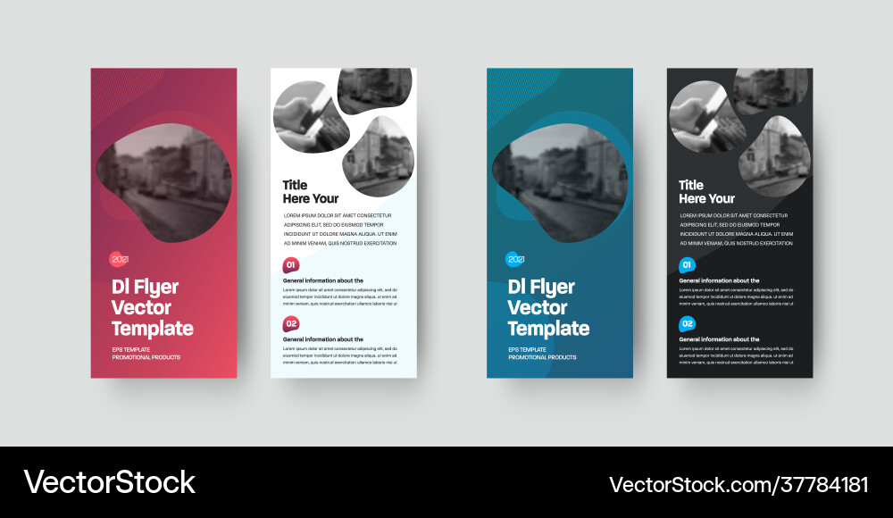 Dl flyer template with color design isolated Dl flyer template with color design isolated vector image