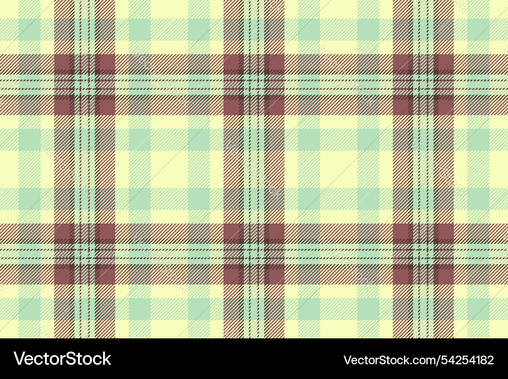 Empty fabric pattern texture trim check plaid Vector Image