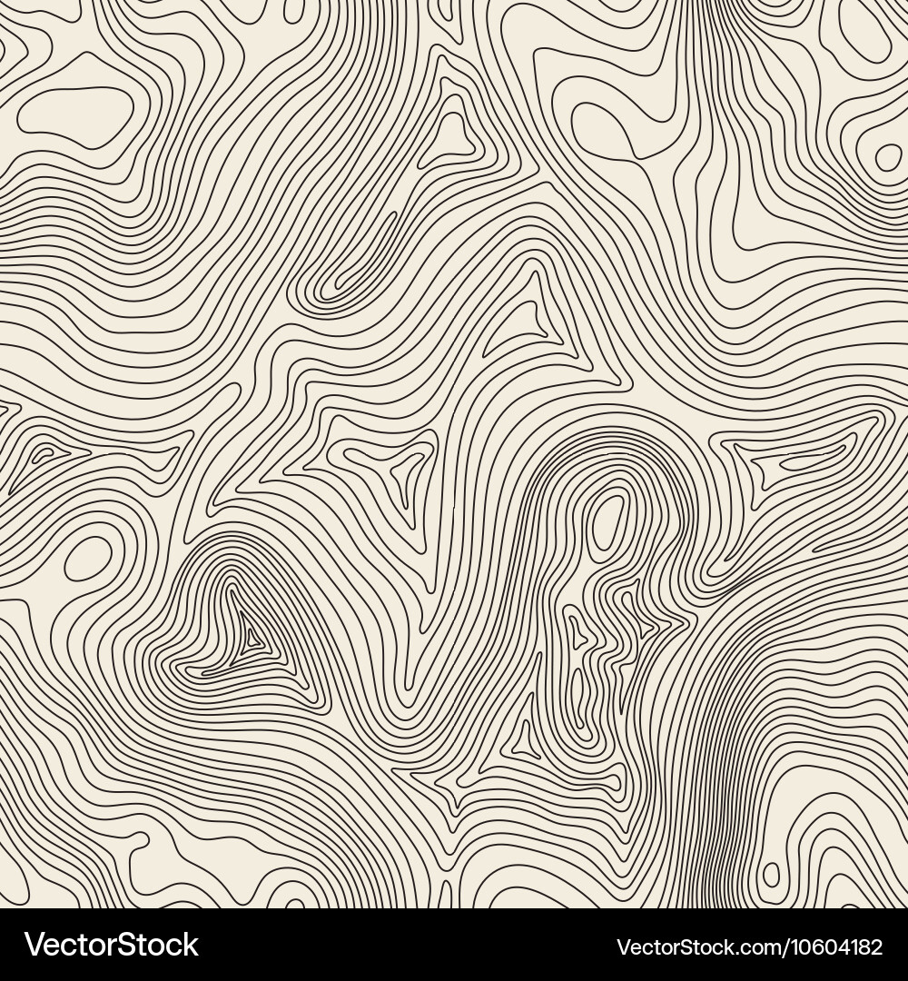 Topographic Map Pattern Vector Image