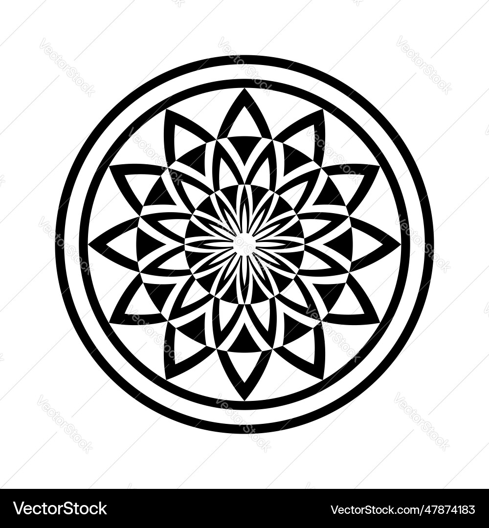 Circle pattern Circle pattern vector image