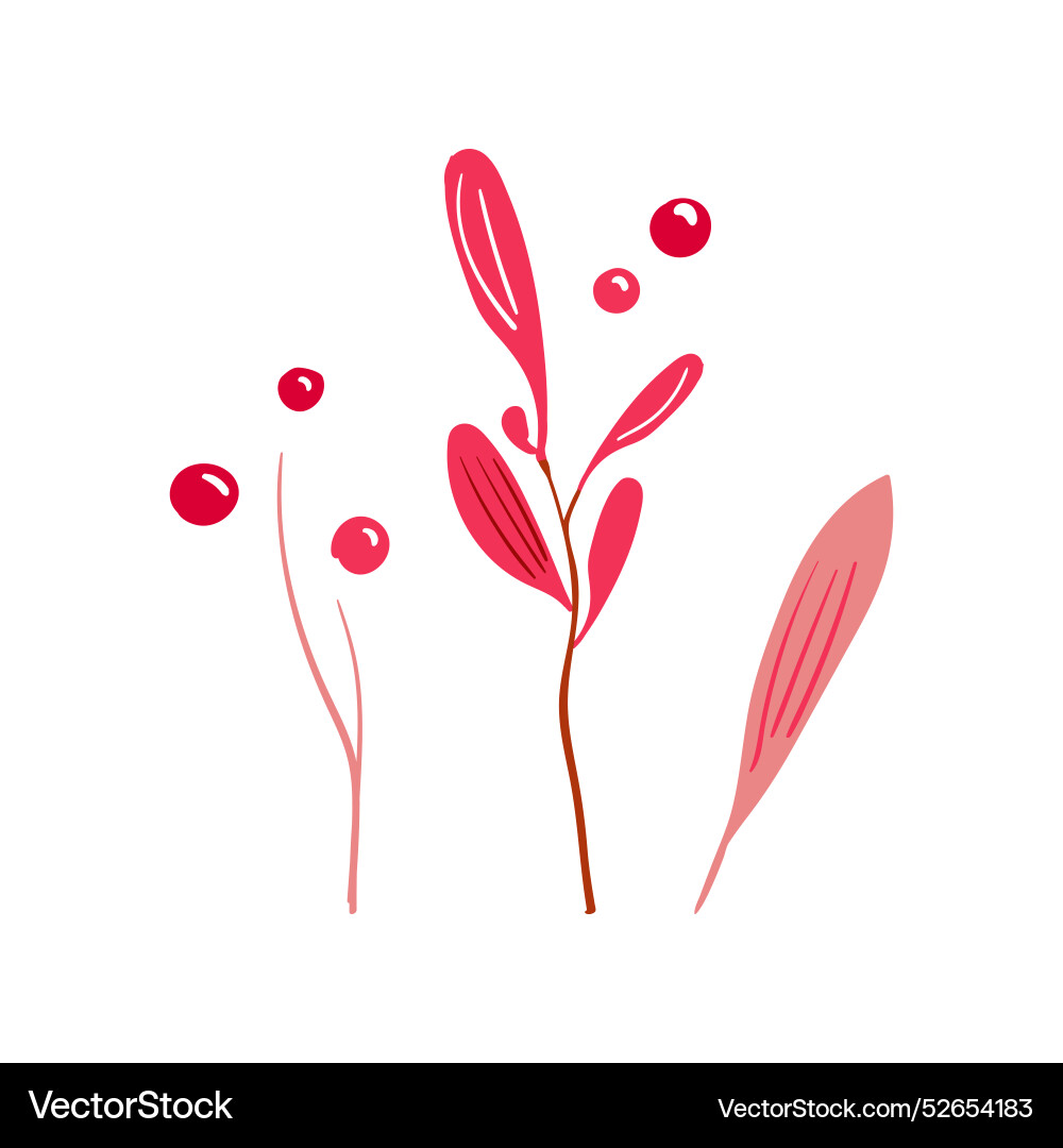 Hand drawn branch with red and raspberry berries Hand drawn branch with red and raspberry berries Vector Image