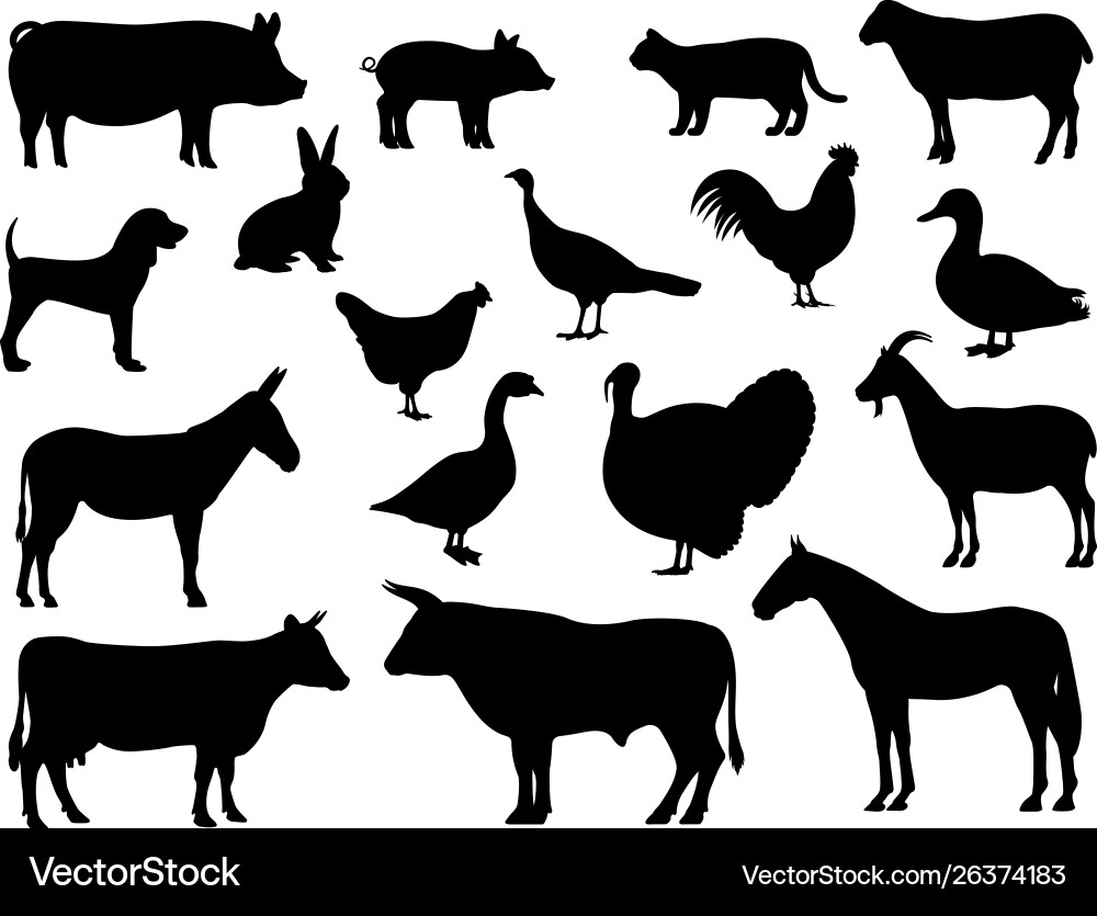 Set silhouettes domestic farm animals Set silhouettes domestic farm animals vector image