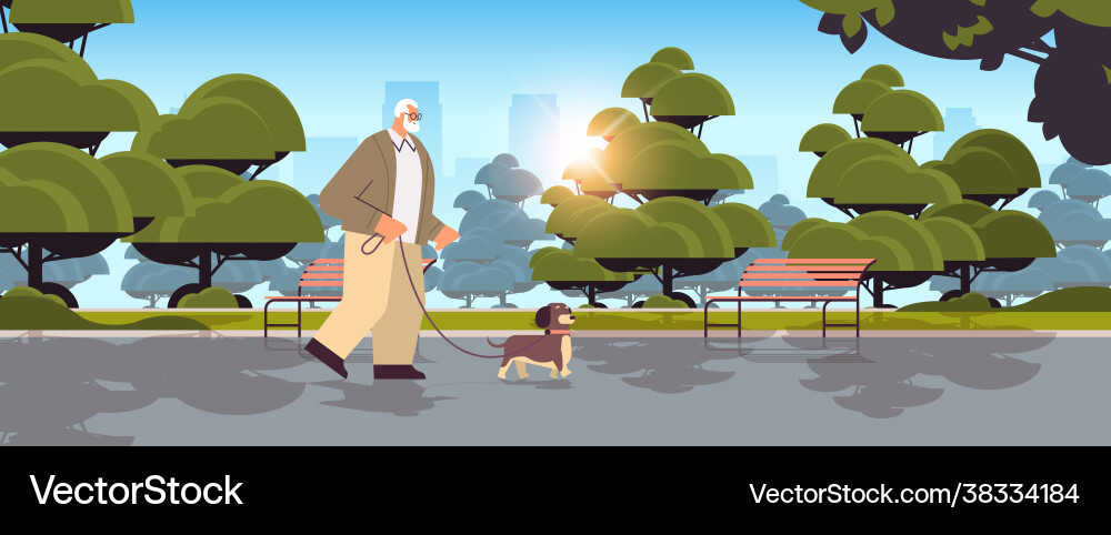 Active senior man walking in park with his little Active senior man walking in park with his little vector image