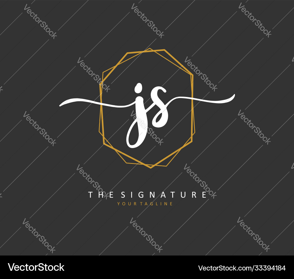 J s js initial letter handwriting and signature Vector Image