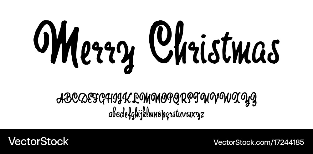 Alphabet calligraphic font unique custom Vector Image