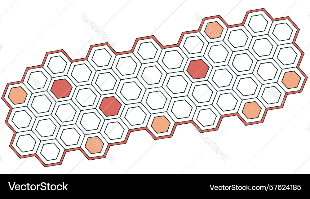 Extended hexagonal pattern for data modern vector image