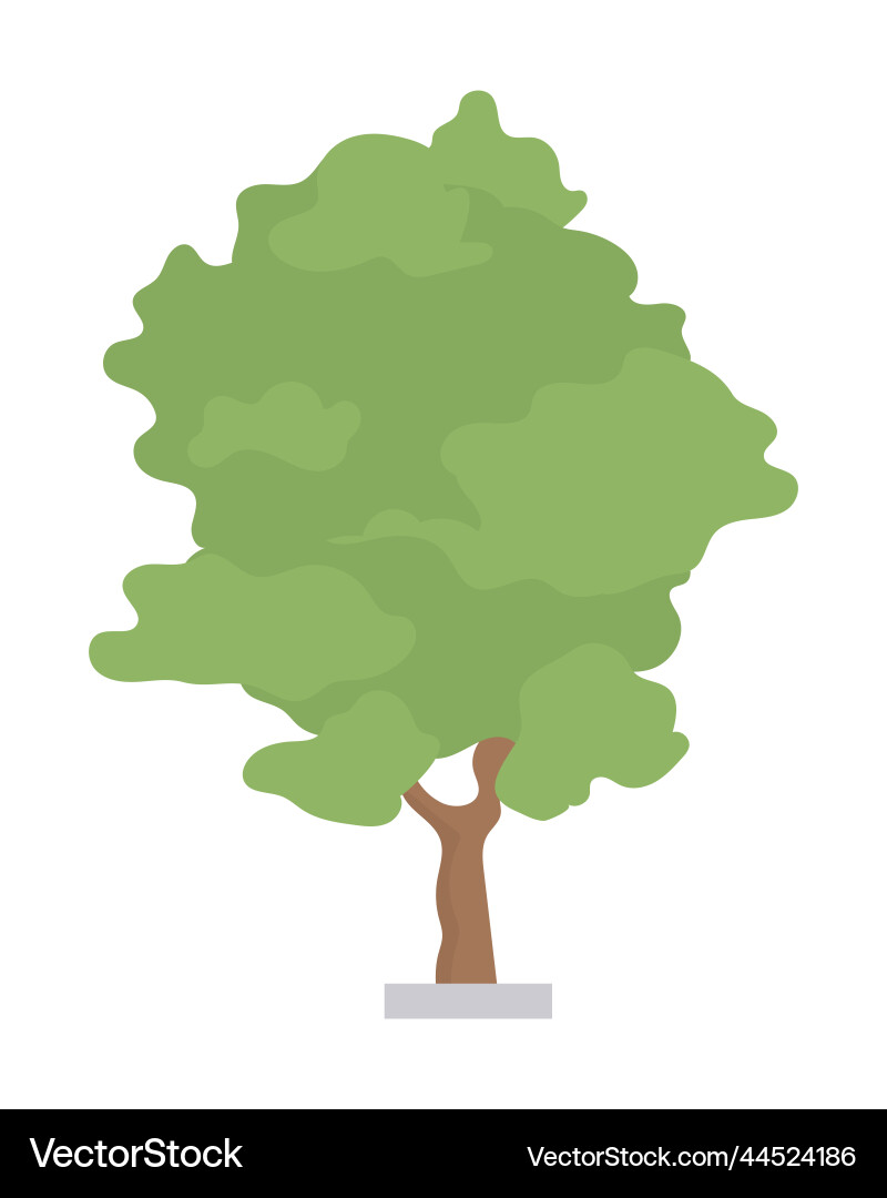 Ash tree semi flat color object Ash tree semi flat color object Vector Image