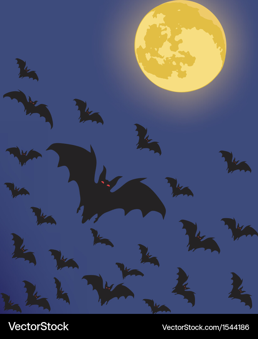 Bats vector image