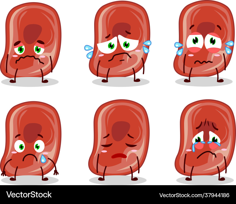 Ham cartoon in character with sad expression vector image