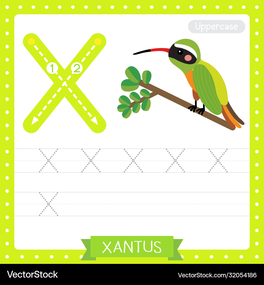 Letter x uppercase tracing practice worksheet Letter x uppercase tracing practice worksheet vector image