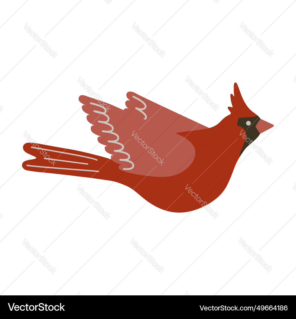 Northern cardinal bird cute Northern cardinal bird cute vector image