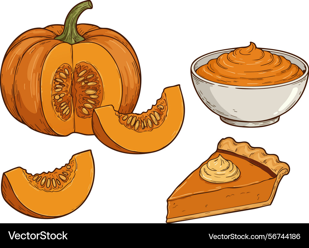 Pumpkin whole slices puree and pie slice Pumpkin whole slices puree and pie slice Vector Image