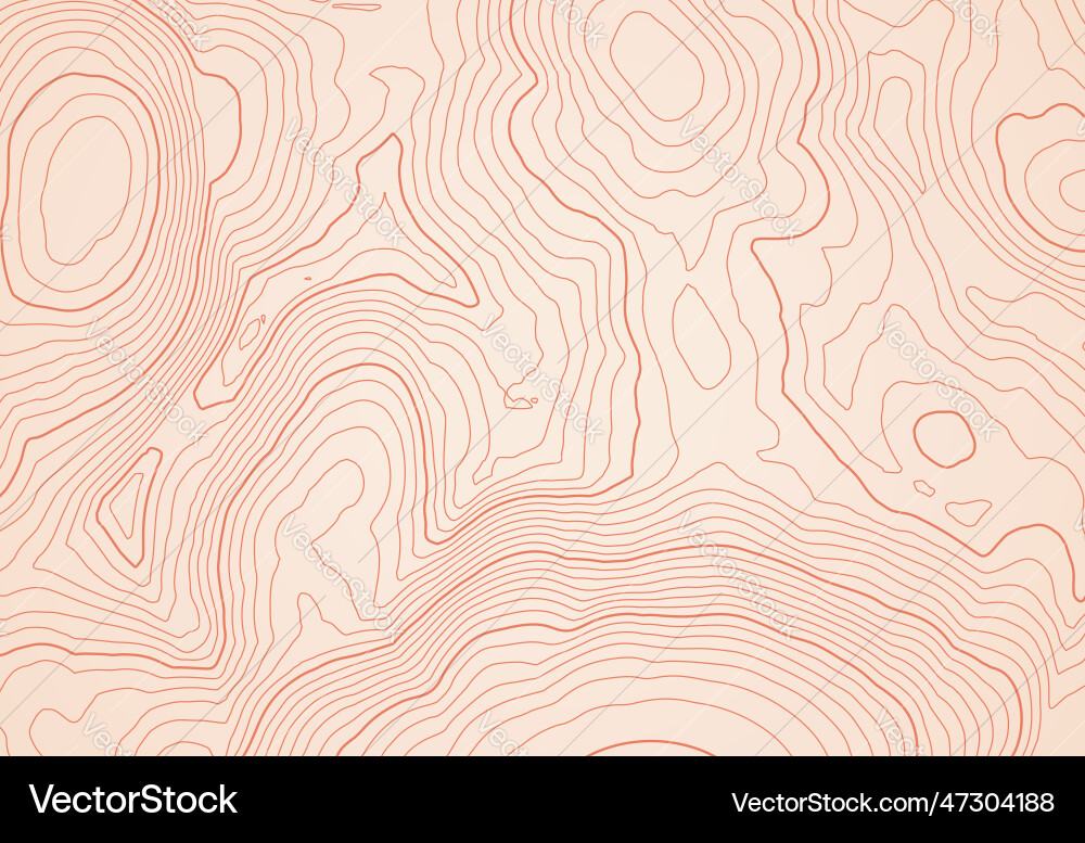 Abstract topographic map background with height vector image