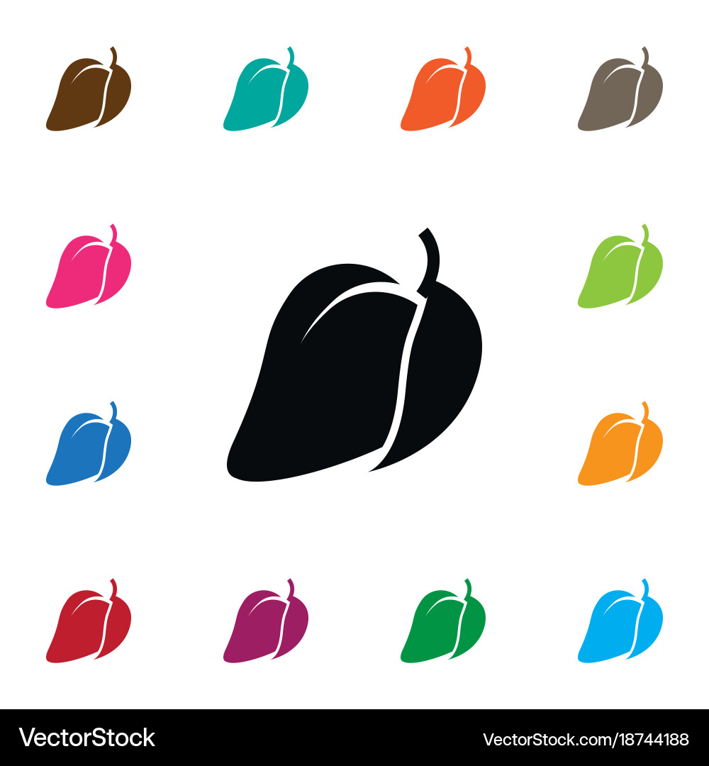 Isolated fleshy icon mango element can b vector image