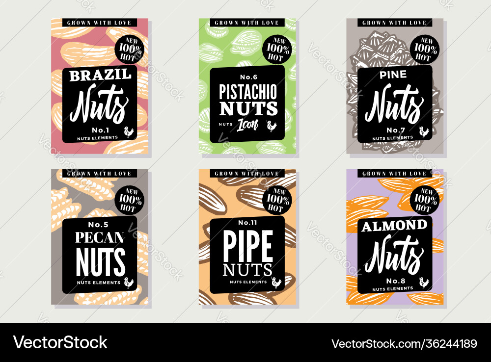 Sketch natural healthy food posters Sketch natural healthy food posters vector image