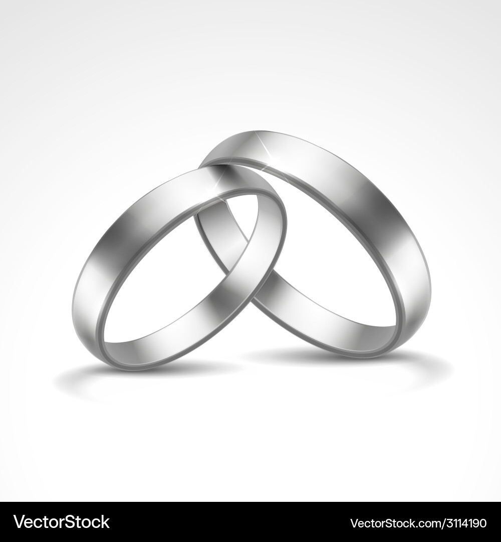 Silver rings Royalty Free Vector Image - VectorStock
