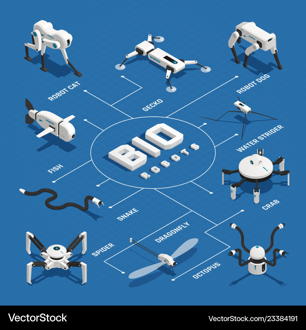 Bio robots isometric flowchart Bio robots isometric flowchart vector image