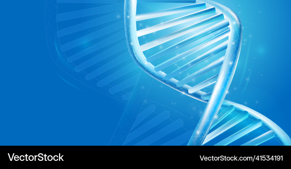 Fragment of double helix dna strand close-up Vector Image