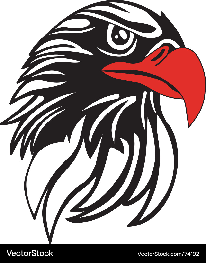 Bald Eagle Head Royalty Free Vector Image - VectorStock