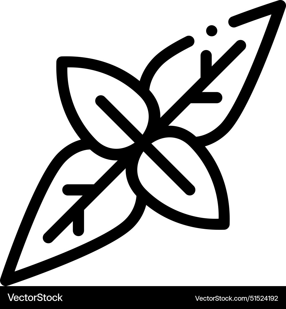 Basil icon thin linear style design isolated Basil icon thin linear style design isolated Vector Image