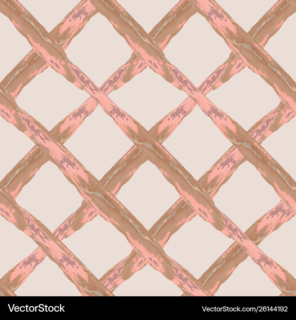 Diagonal rectangles Vector Image
