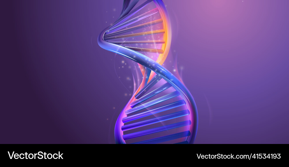 Double helix structure of abstract dna model Vector Image
