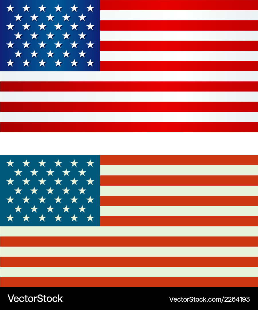 United States Flag Vector Image