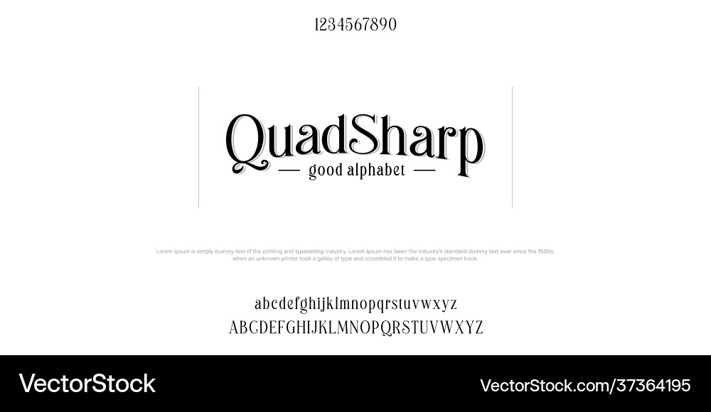 Custom font bundle script serif alphabet i Custom font bundle script serif alphabet i vector image