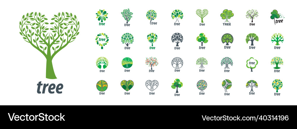 A set of logos with the image tree A set of logos with the image tree Vector Image