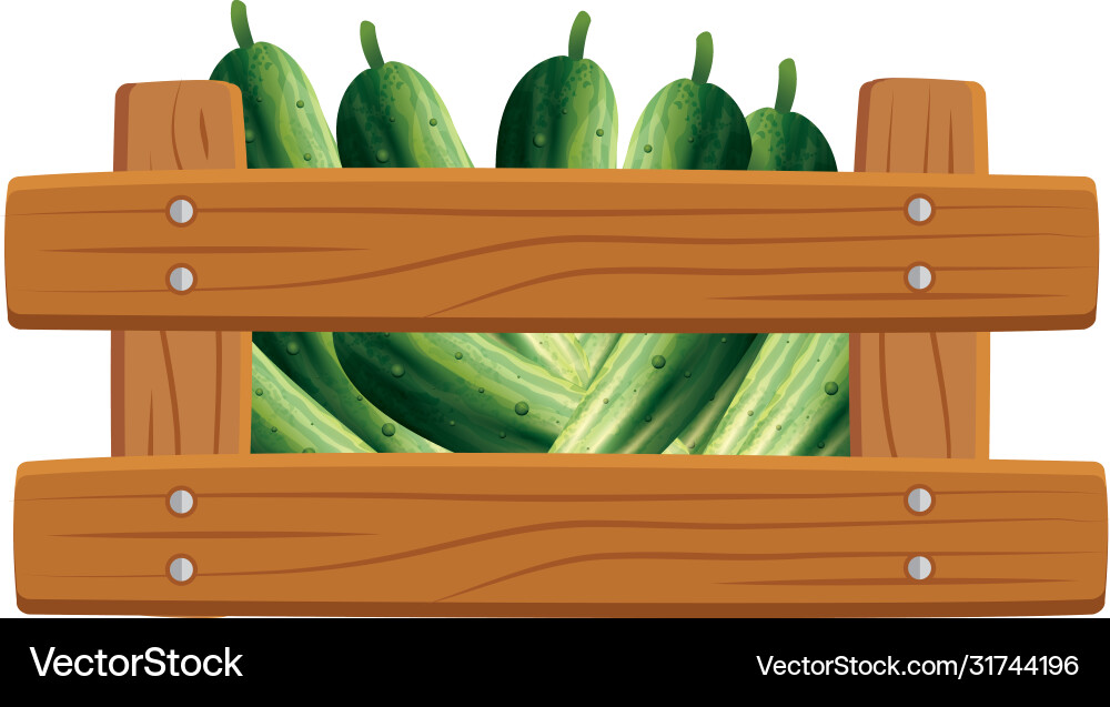 Isolated cucumbers inside box design Vector Image