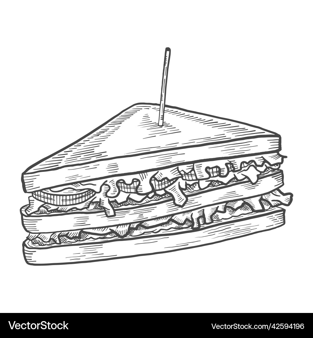 Sandwich fast food single isolated hand drawn Sandwich fast food single isolated hand drawn Vector Image