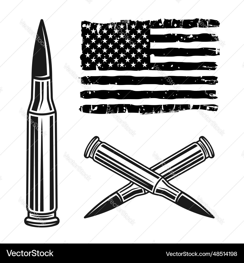 Bullets and american flag set of objects Bullets and american flag set of objects vector image