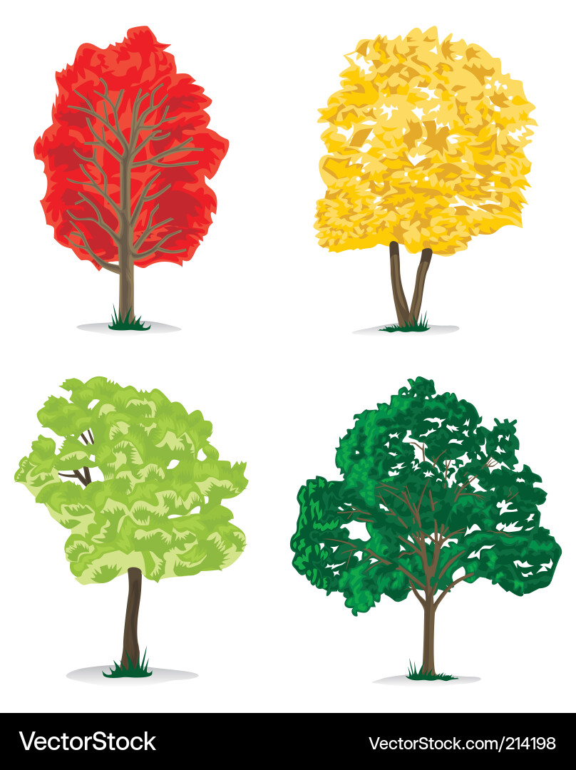 Tree Vector Image