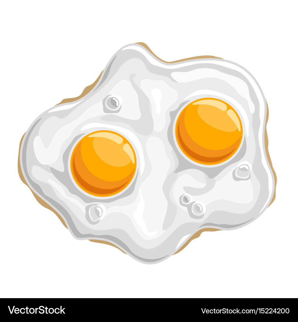 Fried chicken egg Royalty Free Vector Image - VectorStock