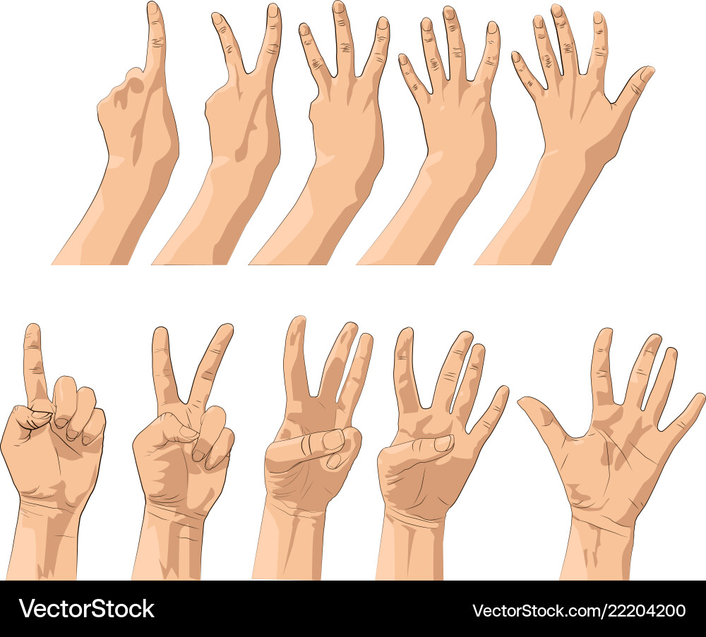 Hands gestures count one two three four five Hands gestures count one two three four five vector image