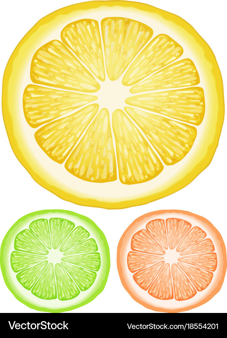 Three slices of lemon in different colors Vector Image
