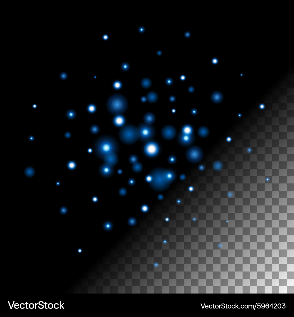 Abstract bokeh lights and sparkles vector image