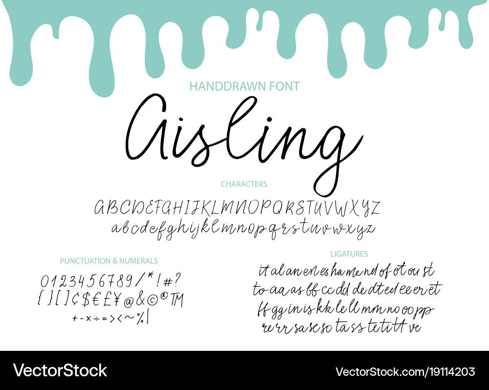 Calligraphic Brush Script Font - Lettering Set vector image