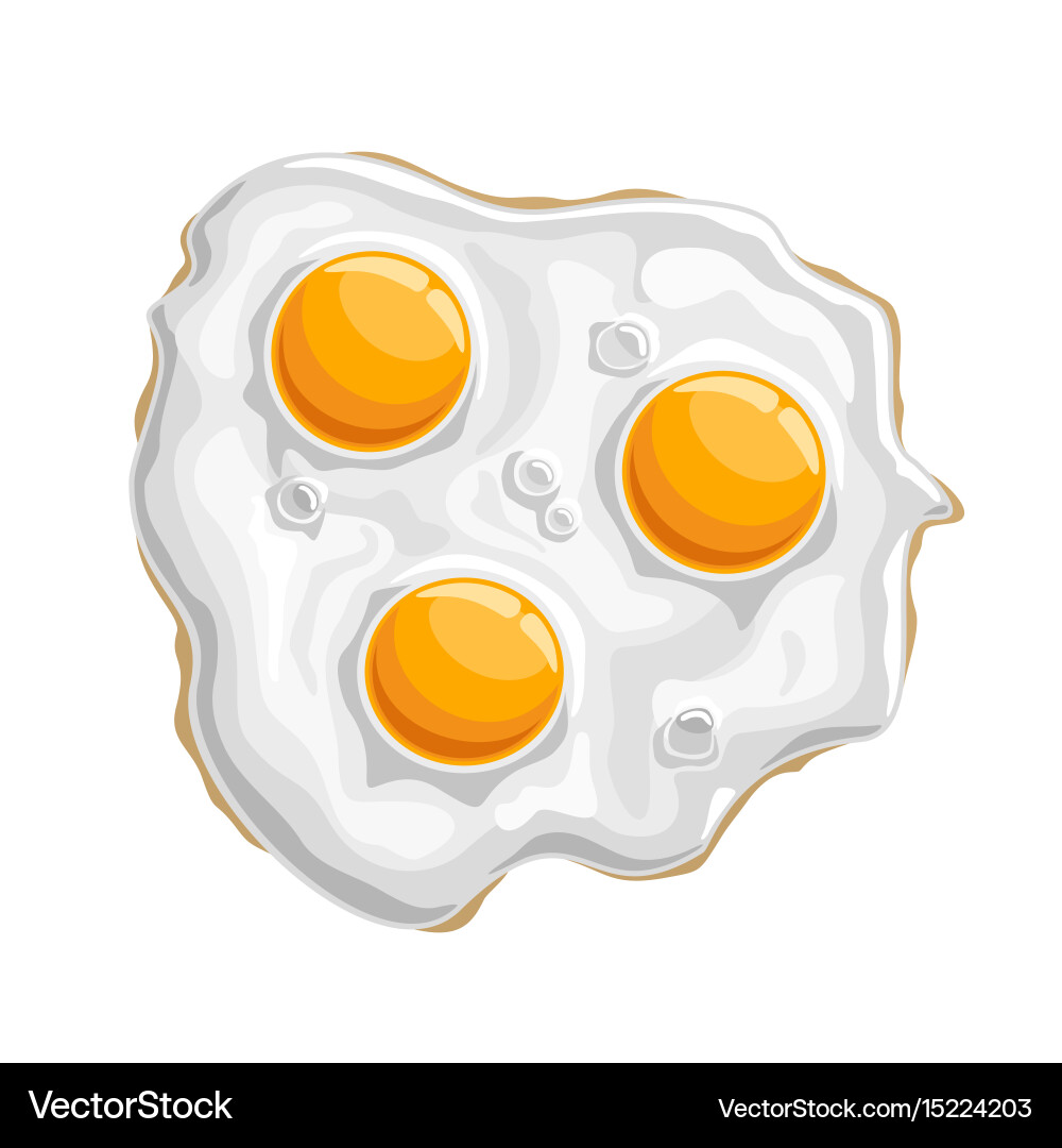 Fried chicken eggs Royalty Free Vector Image - VectorStock