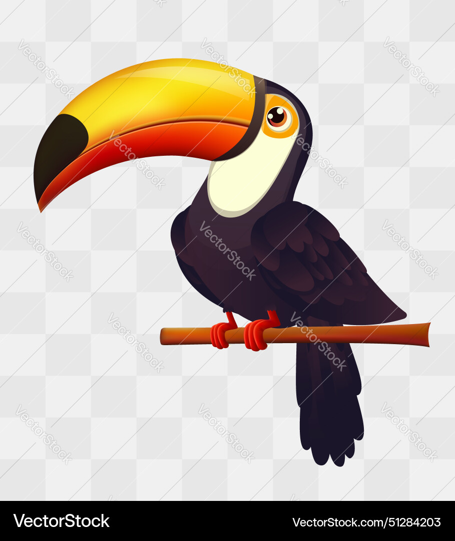 Toucan bird design Toucan bird design Vector Image