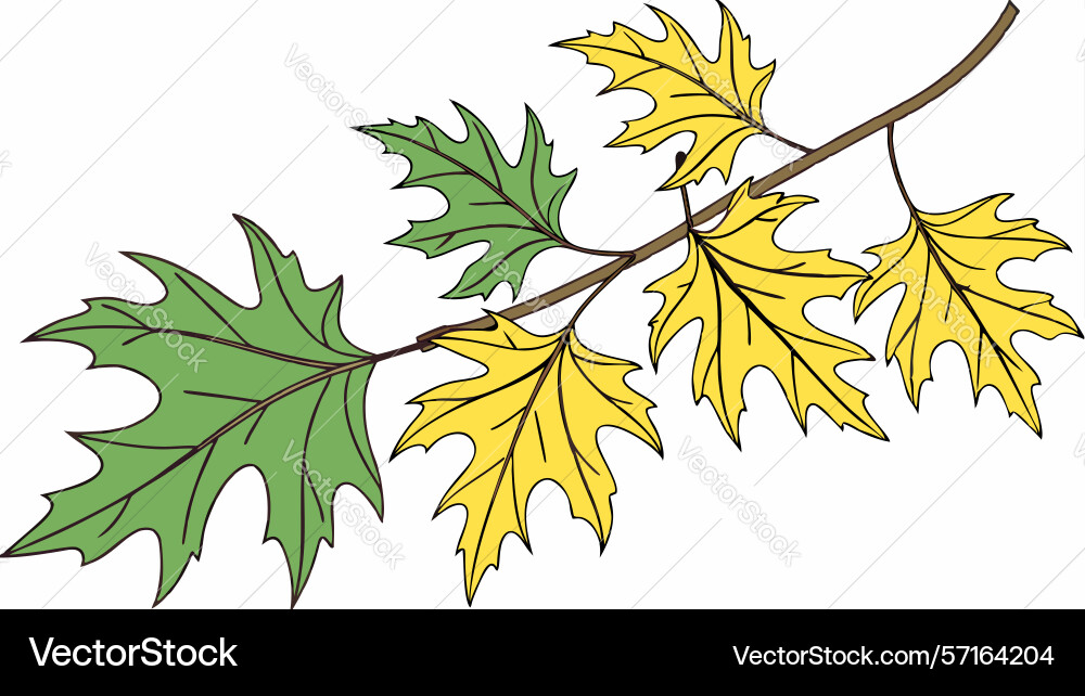 Autumn maple leaves branch design generative ai Vector Image