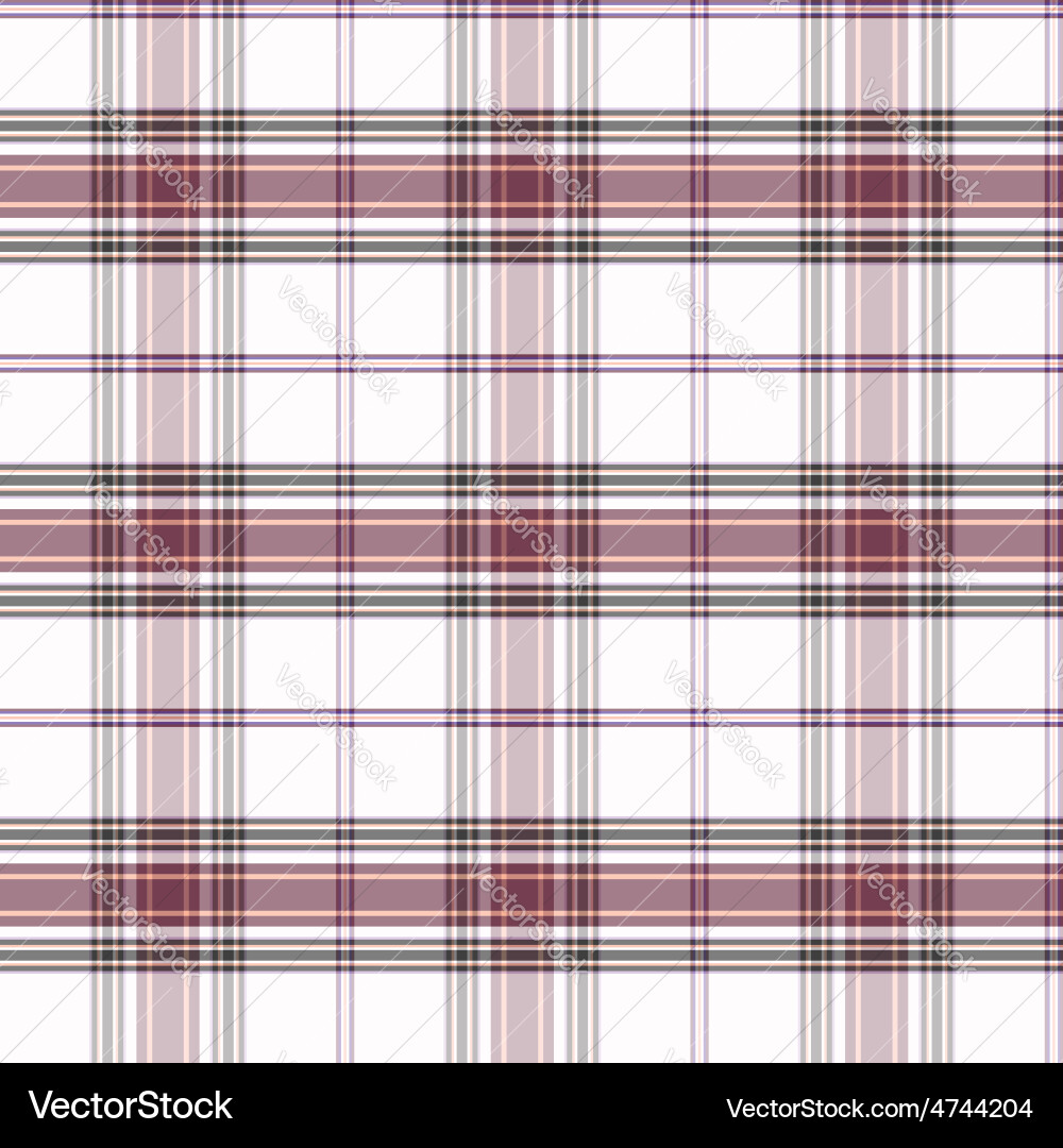 Light Tartan Pattern vector image