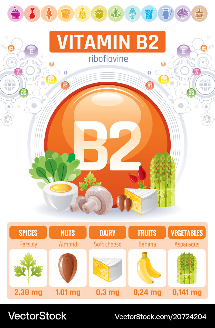 Riboflavin vitamin b2 rich food icons healthy Riboflavin vitamin b2 rich food icons healthy vector image