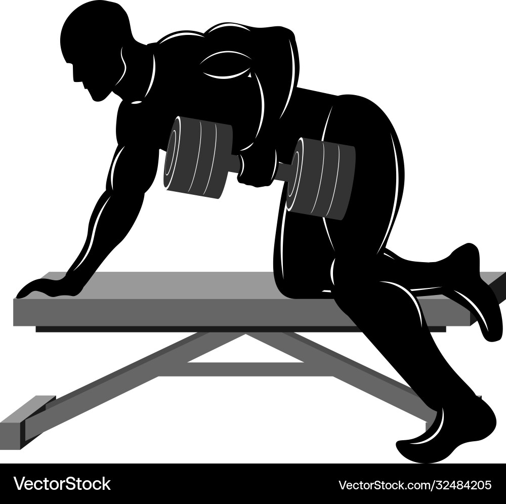 Man with dumbbells exercise pull Vector Image