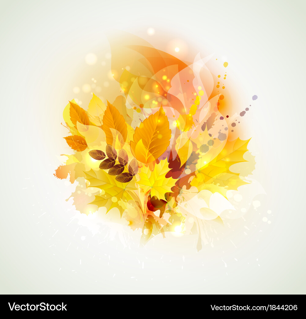 Autumn Color Splash Vector Image