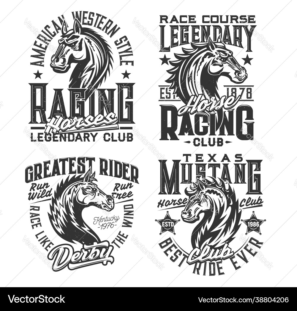 Equestrian Horse Racing Apparel Vector Image