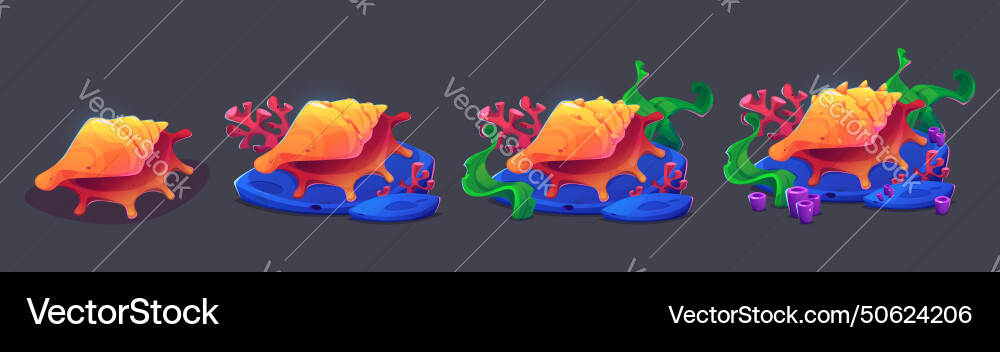 Seashell with algae and coral progress steps Seashell with algae and coral progress steps vector image