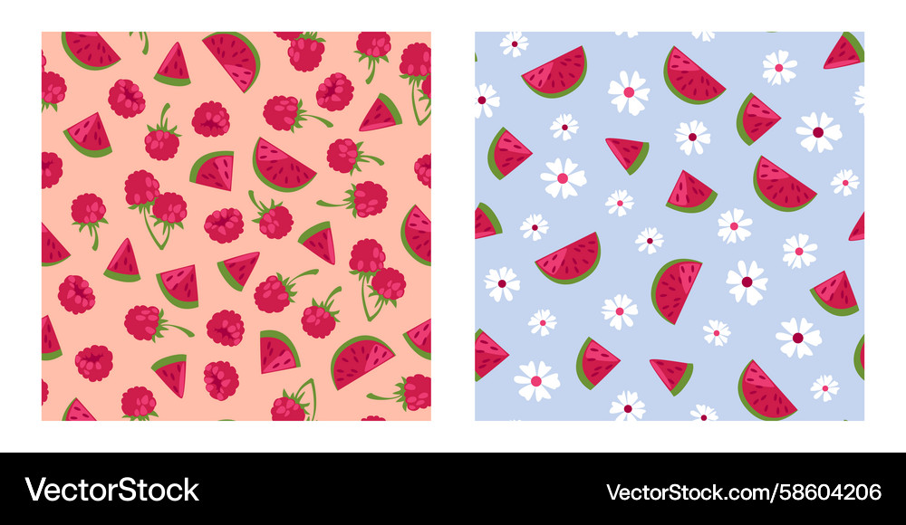 Watermelon & Raspberry Summer Patterns Vector Image