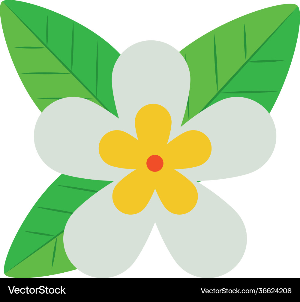 Jasmine flower icon (36624208) – Royalty-Free Vector | VectorStock, image size:1000x1009